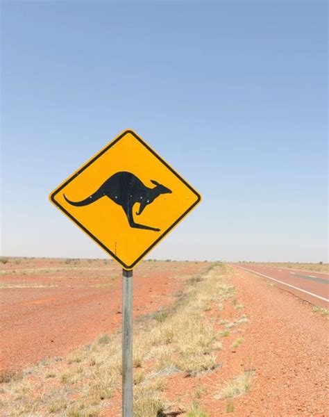Unveiling The Wonders Of Alice Springs Hot Air Balloon