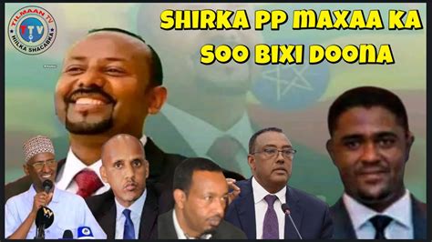 WARAYSI AQONYAHAN JAMAL SHEIKH SHIRKA ADAME OOGA SOCDAY XISBIGA PP