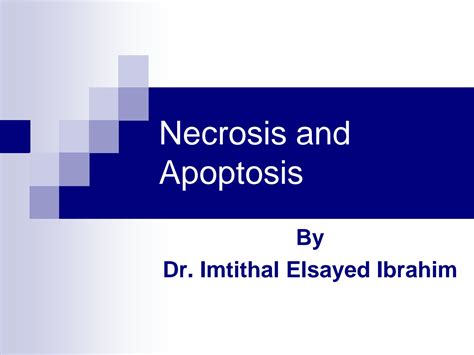 SOLUTION Apoptosis Necrosis Pathology Detail Notes Studypool