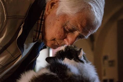 Senioren Und Haustiere Wenn Oma Und Opa Auf Den Hund Kommen