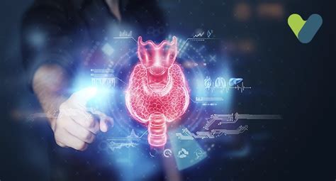 thyroid understand thyroid  types symptoms  treatment livlong