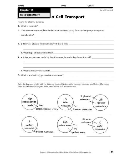 Cellular Transport Worksheets Answer Key