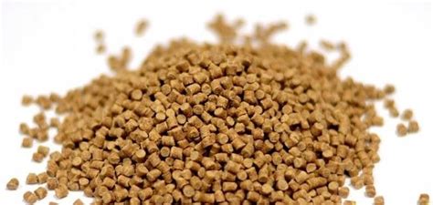 Coppens Pellet Premium Carp 800G 3Mm Copprc3 - Ceny i opinie - Ceneo.pl