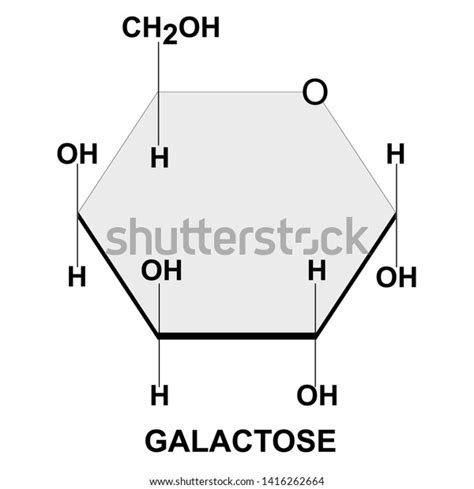 Structural Chemical Formula Model Galactose Stock Vector Royalty Free 1416262664 Shutterstock