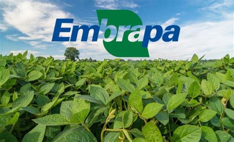 O Que Significa Embrapa