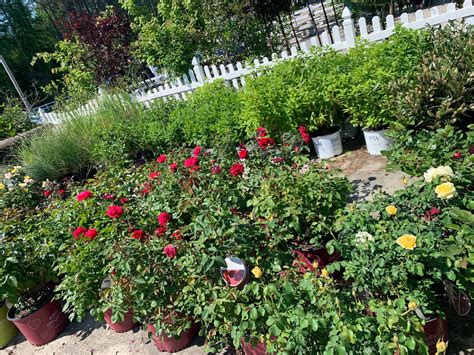 The Hanover Plant Farm Nursery and Garden Center – Hanover Vegetable Farm