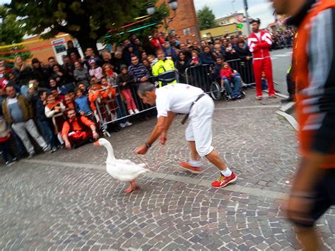 Stylebunny Il Palio Dell Oca Di Lacchiarella The Goose Palio Of