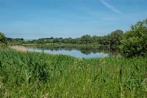 Local protest stops Linford Christie Stadium development for now 4