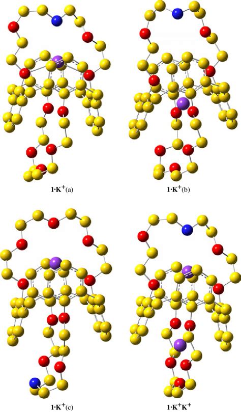 Optimized structures of the complexes 1·K + (a), 1·K + (b), 1·K + (c ...