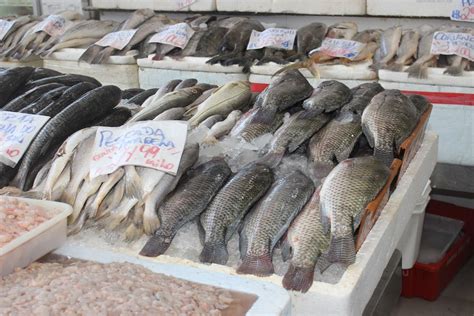 Mercado de Peixes se prepara variedade e preços ótimos Turismo Santos