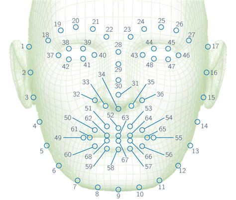 Numbered Facial Landmarks Download Scientific Diagram