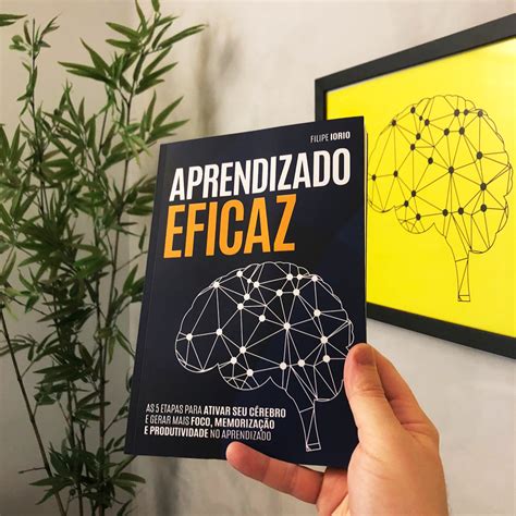 Livro Aprendizado Eficaz Filipeiorio Br