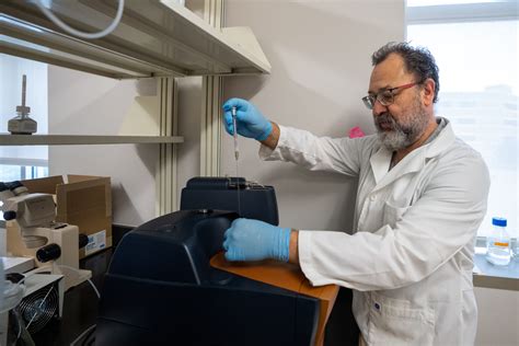 websites with employment opportunities nyt crossword clue 4