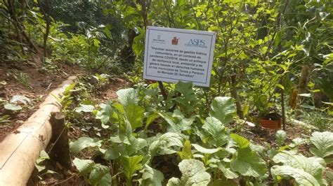 Visita De Seguimiento Y Monitoreo De Los Huertos Familiares De Los