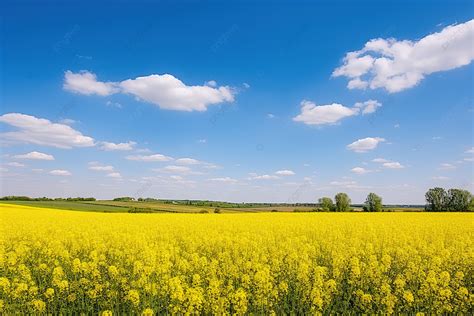 seed field background gyeonggi  high resolution cloud background