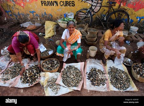 Market Trader Selling Fresh Shell Fish Mapusa City Goa India Stock