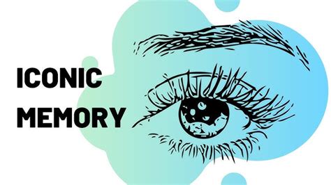 Echoic Memory