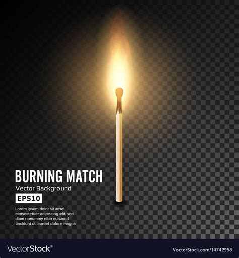 Realistic Burning Match Matchstick Flame Vector Image