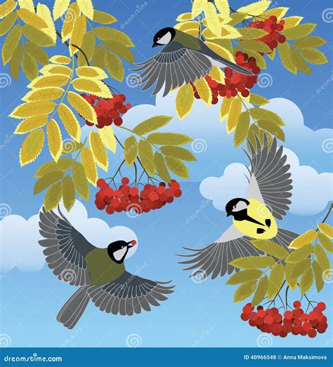 Tits Fly Among The Branches Stock Vector Illustration Of Flutter Rowan