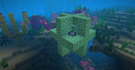 Coracao Do Mar Minecraft - What to Know About the Heart of the Sea in Minecraft
