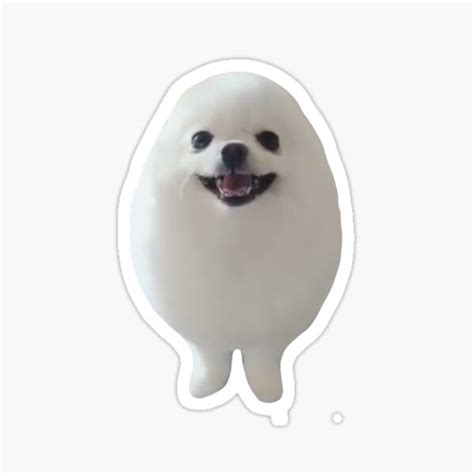 Eggdog Gifts & Merchandise | Redbubble