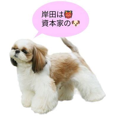 uqztmuvyeppjg posts