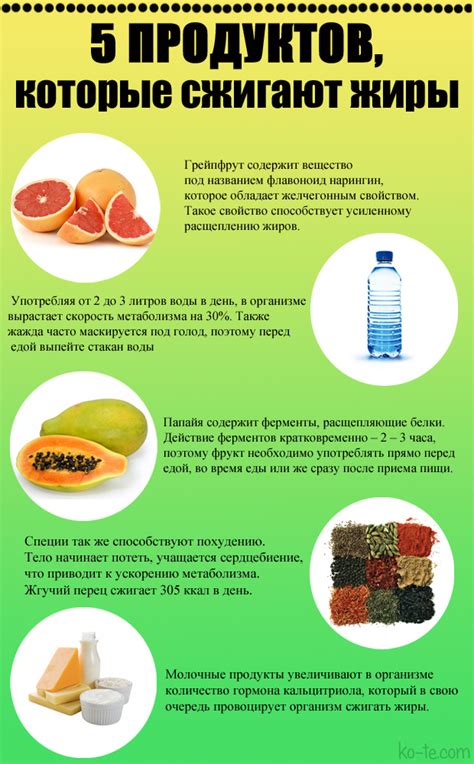 Топ-5 продуктов для сжигания жира
