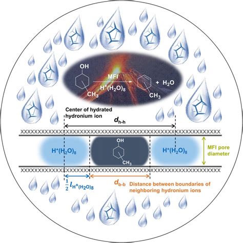 Cover Picture Hierarchically Porous Metal Organic Framework Mos2 Interface For Selective