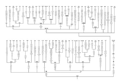 Haplogroup M (mtDNA) - Wikipedia