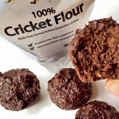 Cricket Flour! It's No Joke - Eat Fit Fuel