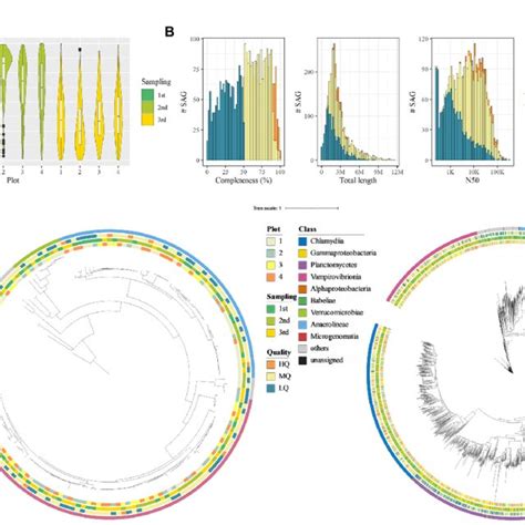 Quality And Taxonomy Classification Of Bacterial And Archaeal