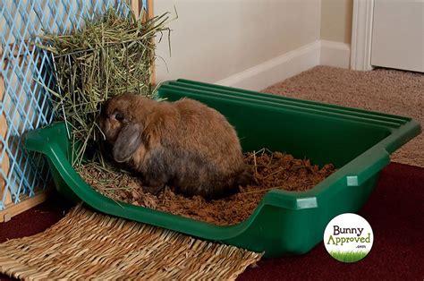 Diy Rabbit Litter Box With Grate - Diy Cares