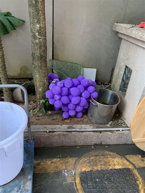 Forbidden Giant Grapes Forbiddensnacks
