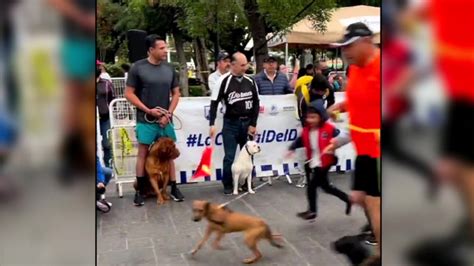 Con Gran Xito La Primera Carrera Perrona Canal Slp