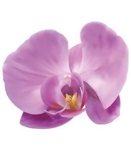 Regal Orchid color hex code is #A98BAF