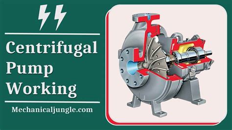 What Is Centrifugal Pump? | Centrifugal Pump Working Principle ...