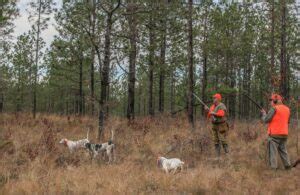 Southern Woods Plantation – South Georgia Quail Hunting, Georgia Quail ...