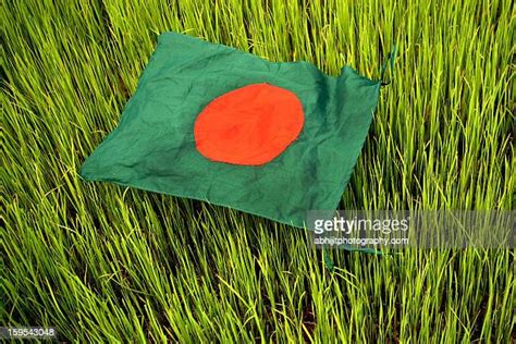 1032 Bangladeshi Name Stock Photos High Res Pictures And Images