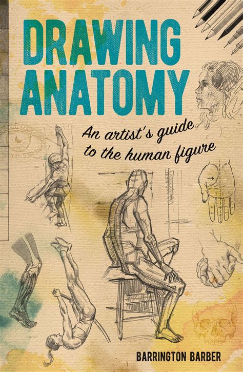 Drawing Anatomy An Artist S Guide To The Human Figure Paperback