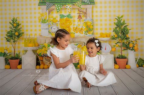 Lemonade Stand Backdrop Lemon Photo Backdrop For Summer Mini Sessions