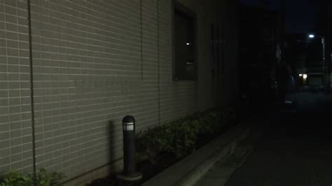 Busty Japanese Maid Wants Her Shaved Pussy Be Eaten