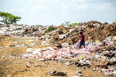 N Mero De Pessoas Em Extrema Pobreza Na Am Rica Latina Sobe Para Milh Es Ambiental T H