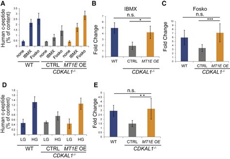 Using Hescs To Probe The Interaction Of The Diabetes Associated Genes