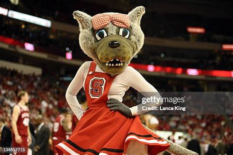 Nc State Wolfpack Mascot Photos and Premium High Res Pictures - Getty Images