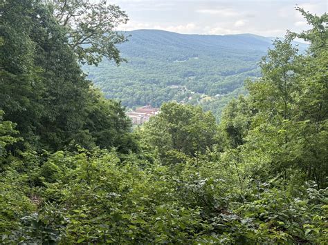 Deerlick Trail: A Solitary Symphony in the Virginia Highlands