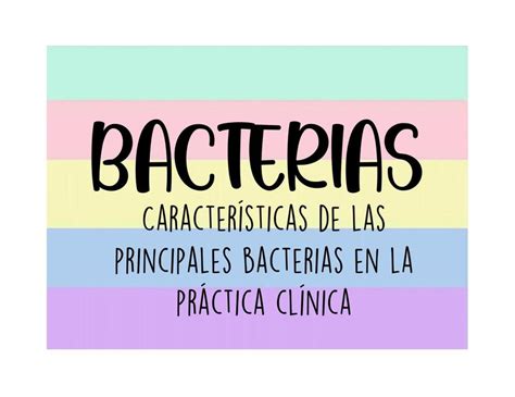 Cuadros De Bacterias Mariana Ju Rez Recinos Udocz