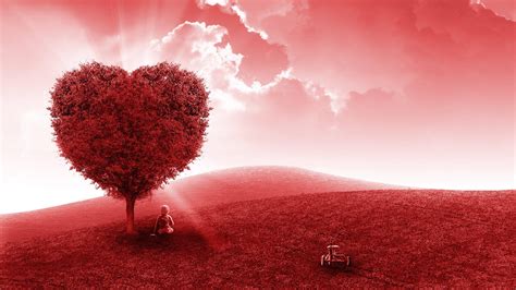 Heart Tree Wallpapers Top Free Heart Tree Backgrounds Wallpaperaccess