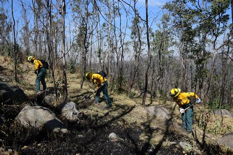 Probosque Reconoce Labor De Brigadistas En El Día Internacional Del Combatiente De Incendios