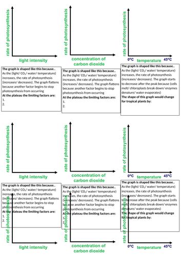 AQA Biology GCSE B8 + B9 Photosynthesis and Respiration | Teaching ...
