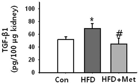 Metformin Decreases High Fat Diet Induced Renal Injury By Regulating